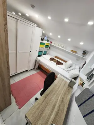 a small bedroom with a bed and a desk at Professor's Krunska Studio in Belgrade