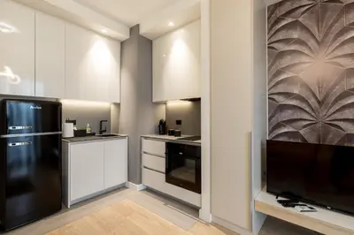a kitchen with a black refrigerator and a tv at inJoy in Belgrade
