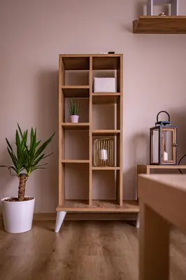 a wooden book shelf in a room with a plant at Charna apartment Beograd Železnik in Železnik