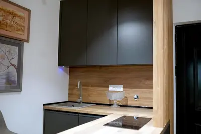 a kitchen with a sink and a counter top at Parliament Studio Appartment in Belgrade