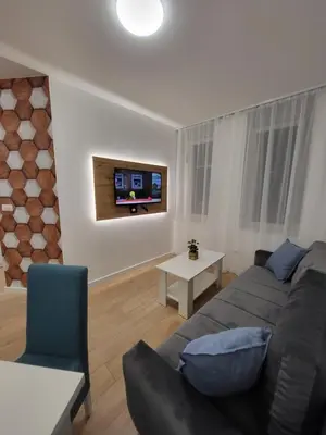 a living room with a couch and a tv at HARMONY Suites (Savska ulica) in Sajmište