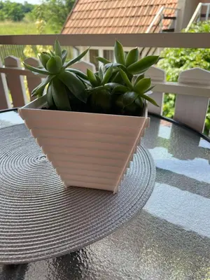 a potted plant sitting on top of a table at Starčević apartmani Orašac Aranđelovac OBAVEŠTENJE Proveriti raspoloživost putem poruke zbog učestalih lažnih rezervacija in Orašac