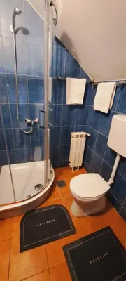 a bathroom with a shower and a toilet and a sink at Magellan Apartments in Belgrade