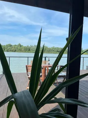 a plant in front of a porch with a view of the water at Floating Zen House in Belgrade