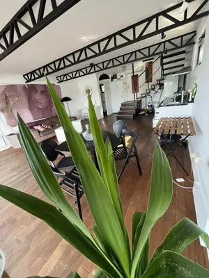 a plant in the middle of a room with tables and chairs at Floating Zen House in Belgrade