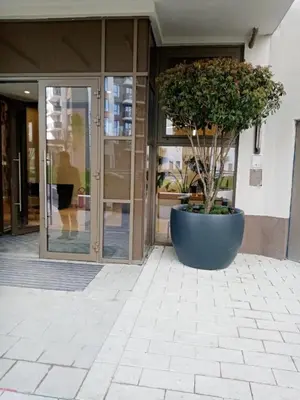a large pot with a tree in front of a building at GIGI Apartment in Belgrade