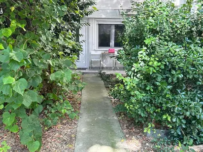 a walkway in front of a house between two bushes at Tesla in Belgrade