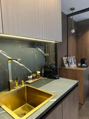 a kitchen with a gold sink and a counter at Sima City Center in Belgrade