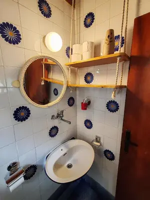 a bathroom with a sink and a mirror at Varljivo leto, Fruska gora in Čortanovci