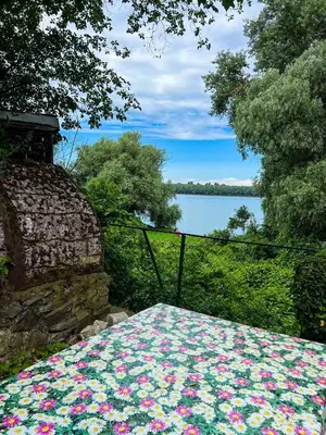 a field of flowers on the ground with a view of a lake at Varljivo leto, Fruska gora in Čortanovci
