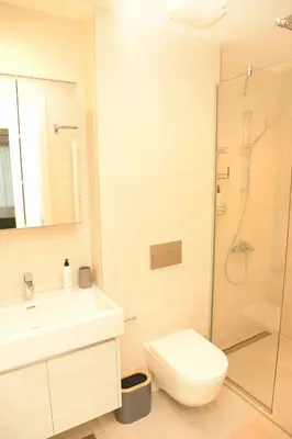 a bathroom with a toilet sink and a shower at Apartman Julija in Sajmište
