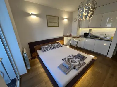 a large bed in a room with a kitchen at Hedonic Studio in Belgrade