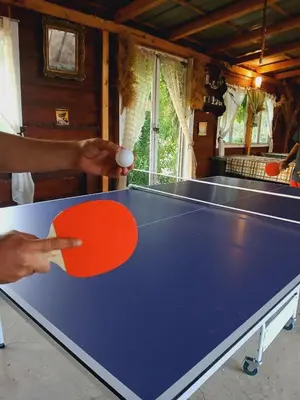 a person holding a ping pong ball over a table at Sunny Side Fruska Gora- apartman A in Velika Remeta