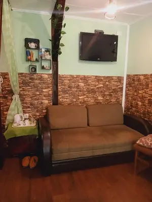 a living room with a couch and a flat screen tv at Sunny Side Fruska Gora- apartman A in Velika Remeta
