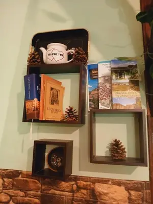 a wall with three shelves with books and a mirror at Sunny Side Fruska Gora- apartman A in Velika Remeta