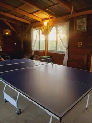 a ping pong table in a living room with a table tennisetitive at Sunny Side Fruska Gora- apartman A in Velika Remeta
