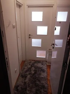 a hallway with a door and a rug at Emili apartment in Belgrade