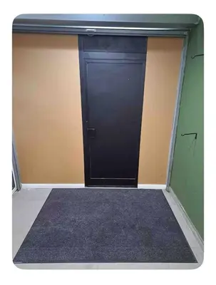 a garage with a black door in a room at Mystique Spa Apartment in Belgrade