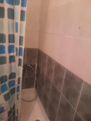 a bathroom with a shower and a toilet at Nena Apartman in Belgrade