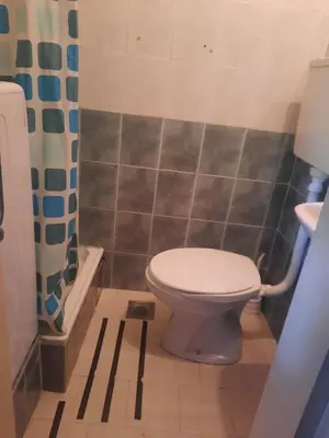 a bathroom with a toilet and a shower at Nena Apartman in Belgrade