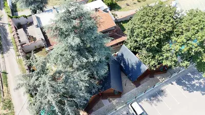 an overhead view of a large tree in front of a building at Planinske Kuće Grocka in Grocka
