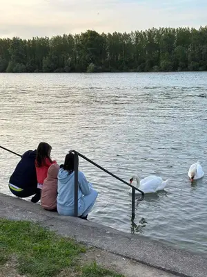 two women sitting on a dock looking at swans in the water at Kuca na Dunavu in Belgrade
