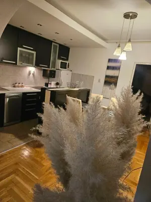 a living room with a kitchen with a tree in it at Luxury Apartment in Mladenovac