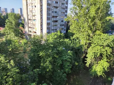 an overhead view of trees and a tall building at Magenta New Belgrade in Belgrade
