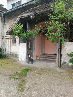 a dog sitting in the doorway of a building at Maravilja in Filmski Grad