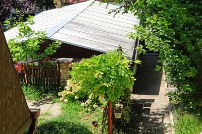 a garden with a building with a bunch of plants at Red Tree Apartment in Belgrade