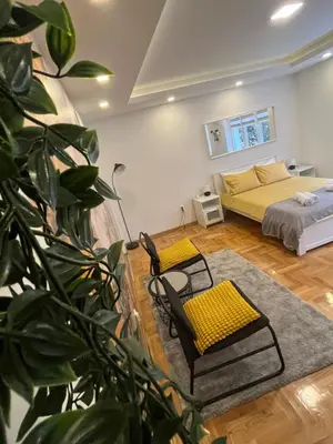 a living room with a bed and a plant at Tesla View Apartment in Belgrade