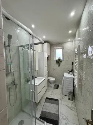 a bathroom with a shower and a sink and a toilet at Manila Apartment in Belgrade