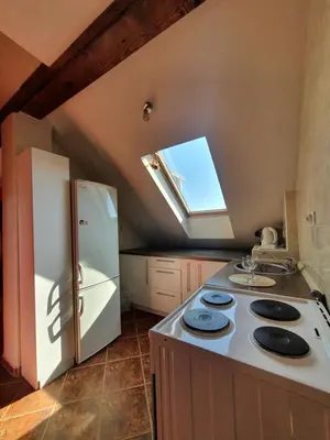 a kitchen with a stove and a refrigerator with a skylight at Belgrade Loft Apartments in Novi Beograd