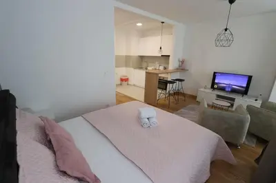 a bedroom with a bed and a living room at Savada PINK - studio with parking and WiFi, parking 5 eur per day in Belgrade