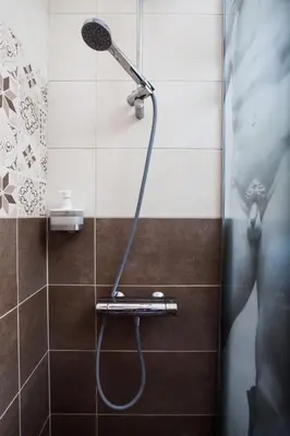 a shower with a shower head in a bathroom at Dorcol Rooftop Apartment in Belgrade