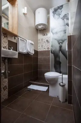 a bathroom with a toilet and a poster of a woman at Dorcol Rooftop Apartment in Belgrade