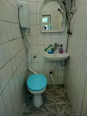 a bathroom with a blue toilet and a sink at Surcin center house in Surčin