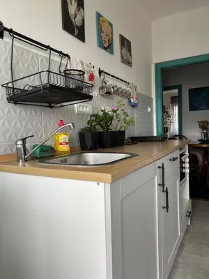 a kitchen with a sink and a counter top at Queen of the arts in Belgrade