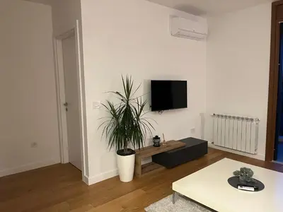 a living room with a tv and a potted plant at THE FIVE-New Belgrade Apartment in Belgrade