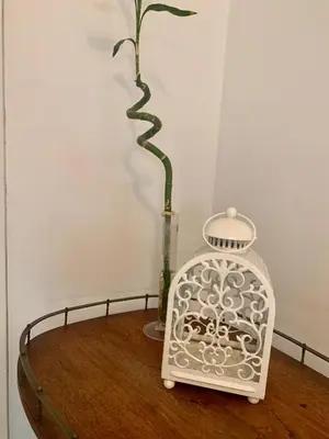 a plant in a vase on a table with a clock at Apartment Mina in Belgrade