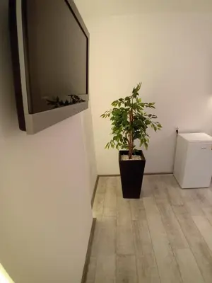 a tv and a potted plant in a room at Apartman centar SD in Smederevo