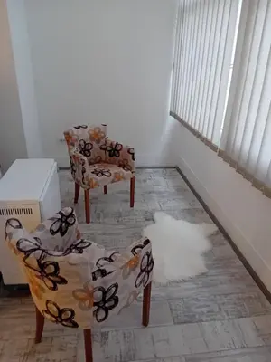 a room with two chairs and a rug on the floor at Apartman centar SD in Smederevo