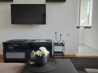 a living room with a tv and a table with flowers at Apartman Elena Dedinje in Belgrade