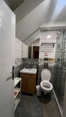 a bathroom with a toilet and a sink and a shower at Sanska 25 in Dušanovac (historical)