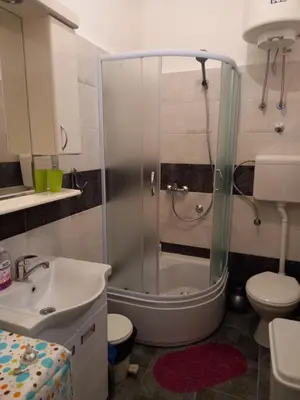a bathroom with a shower and a toilet and a sink at Sofija 1 in Vračar (historical)