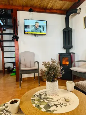 a living room with a wood stove and a table at Dadula na Dunavu in Kovin