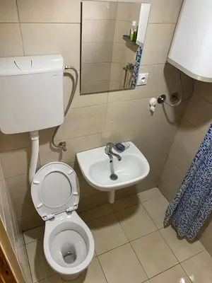 a small bathroom with a toilet and a sink at Vikendica Milošević in Arandjelovac