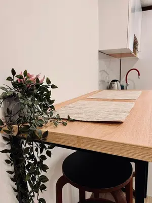 a kitchen with a wooden counter with a potted plant at Stone House Central Belgrade Studio in Belgrade