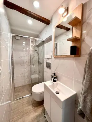 a bathroom with a toilet and a shower and a sink at Stone House Central Belgrade Studio in Belgrade