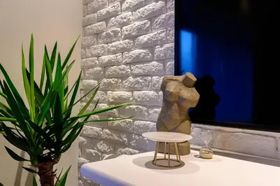a plant sitting on a table next to a computer monitor at Royalux Zemun Residences in Belgrade